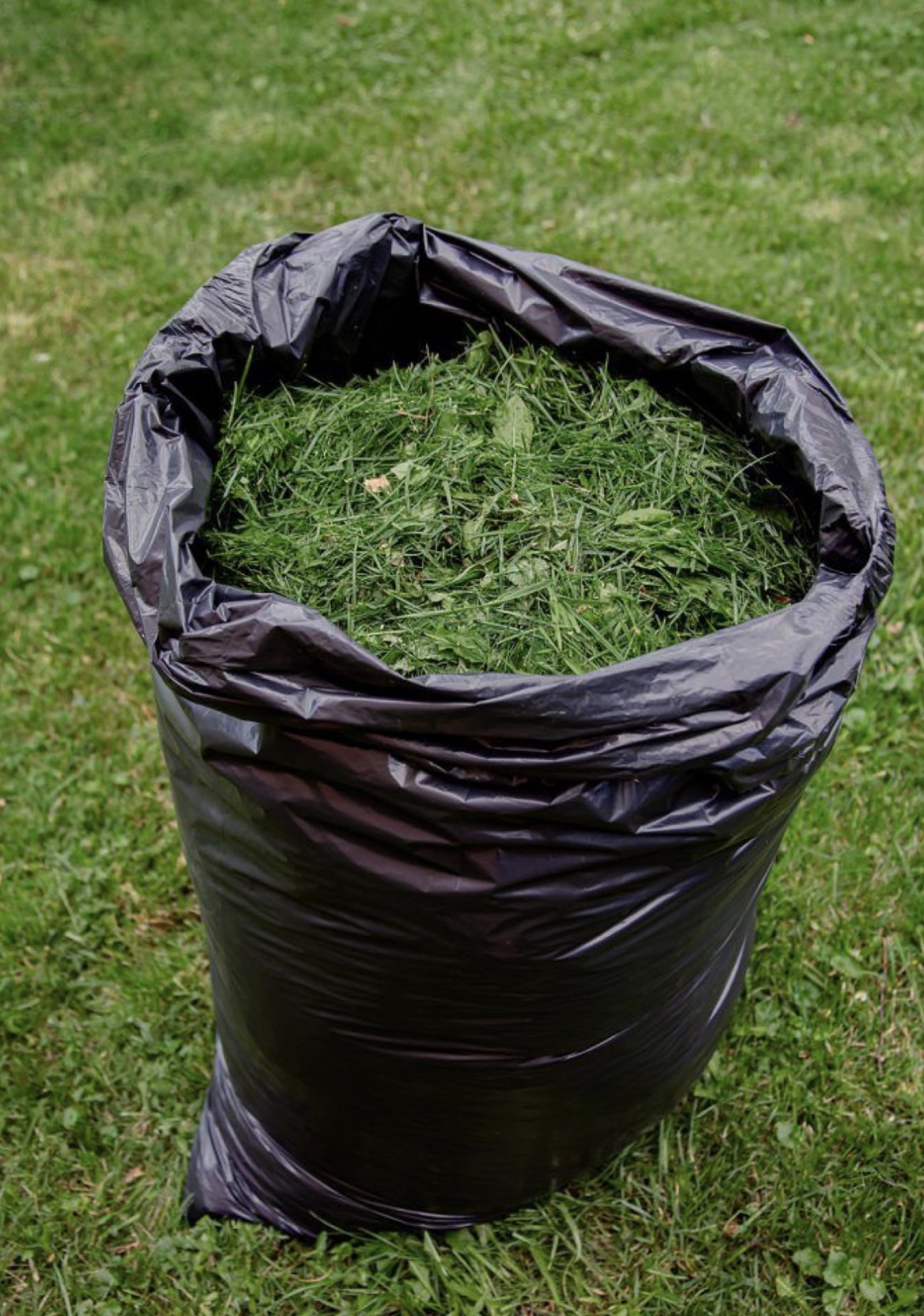 Bag of grass and weed clippings from a Green Castle cleanup