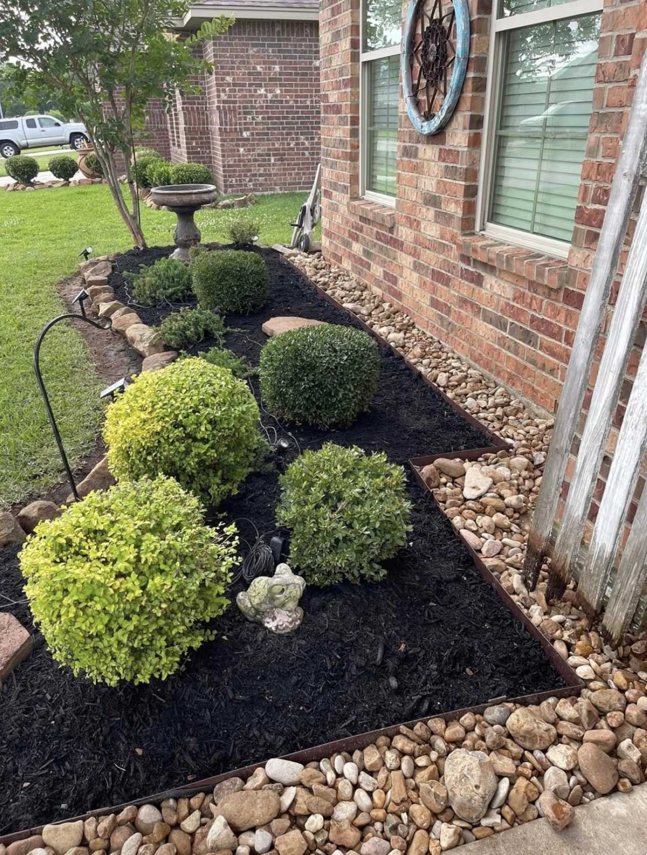 Fresh shrub planting with dark mulch garden beds in New Jersey estate