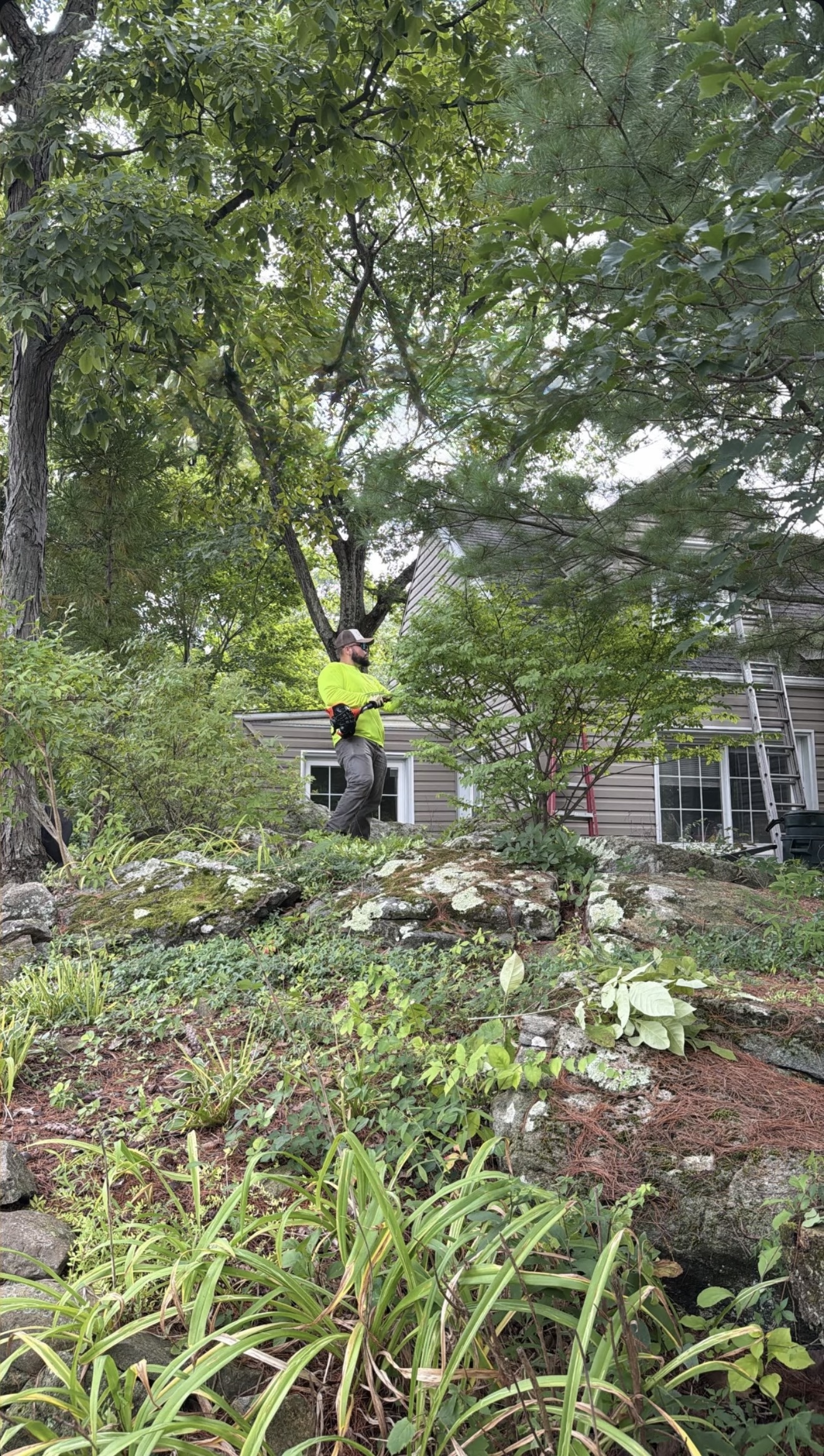Green Castle cleanup and vegetation clearing work