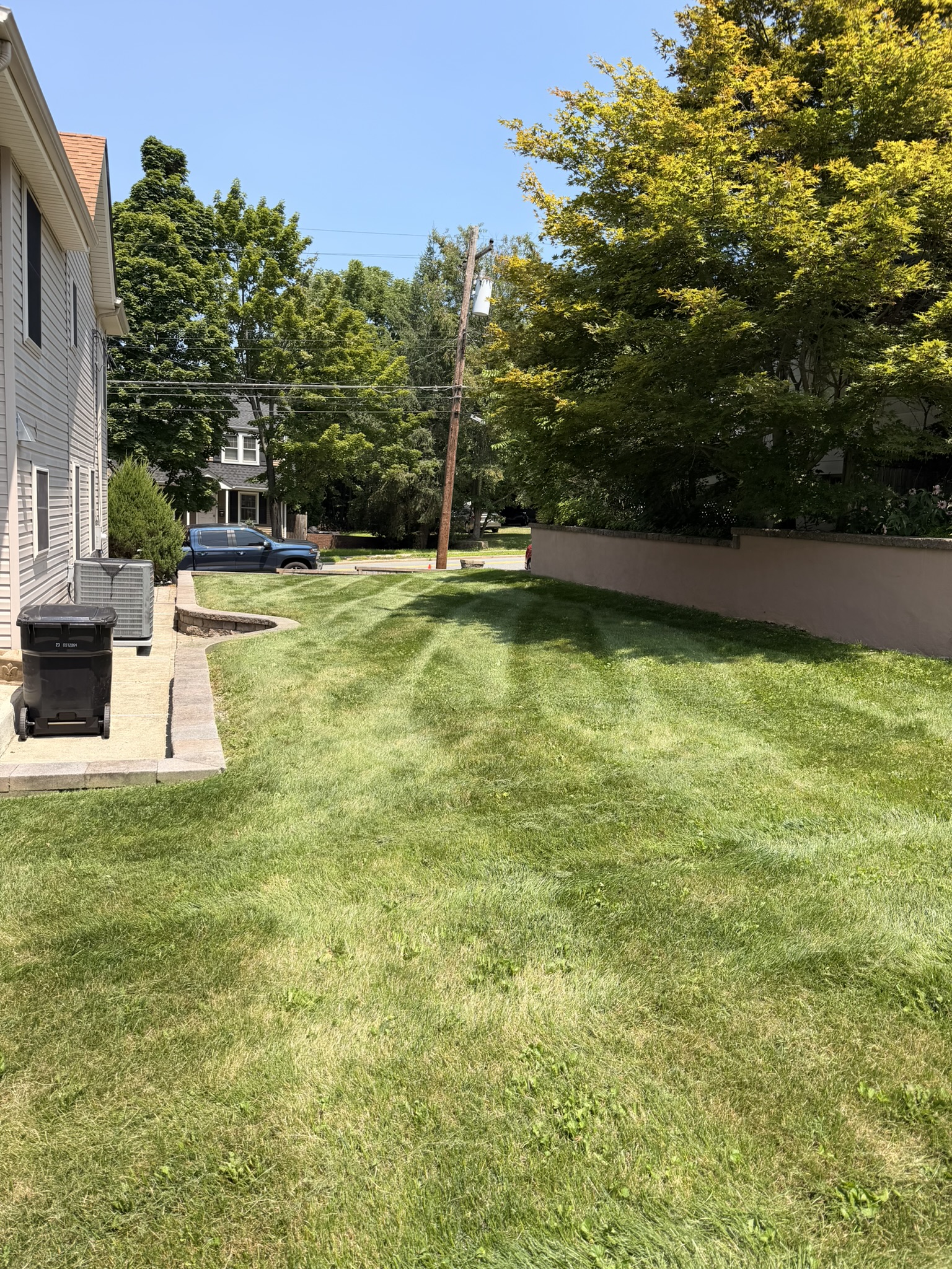 Lawn care photo 4