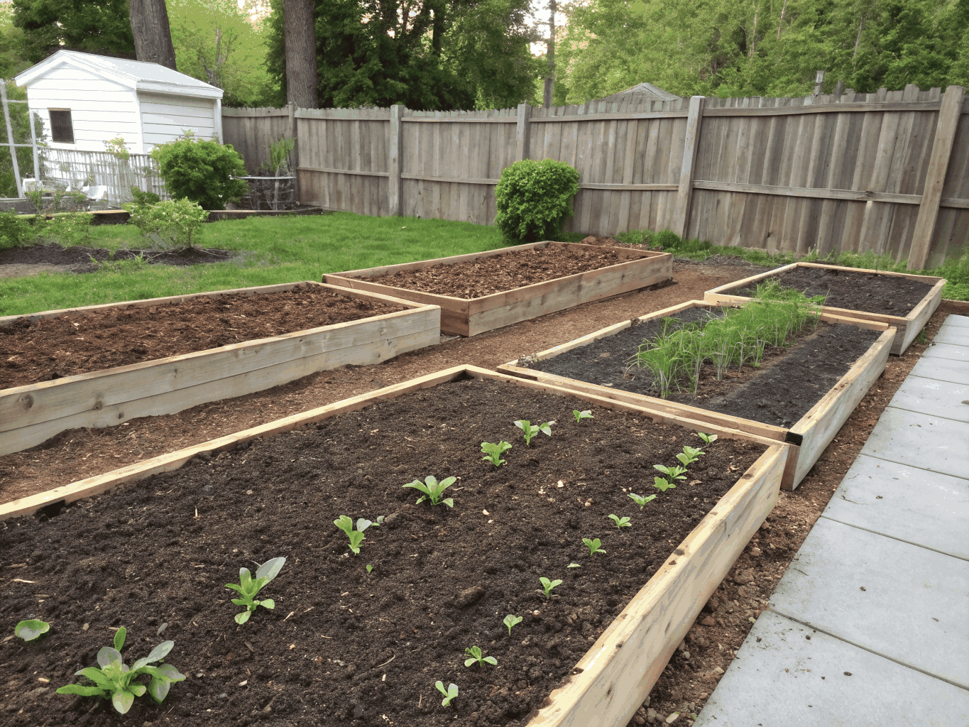 Mulch garden bed with newly planted decorative shrubs and flowers