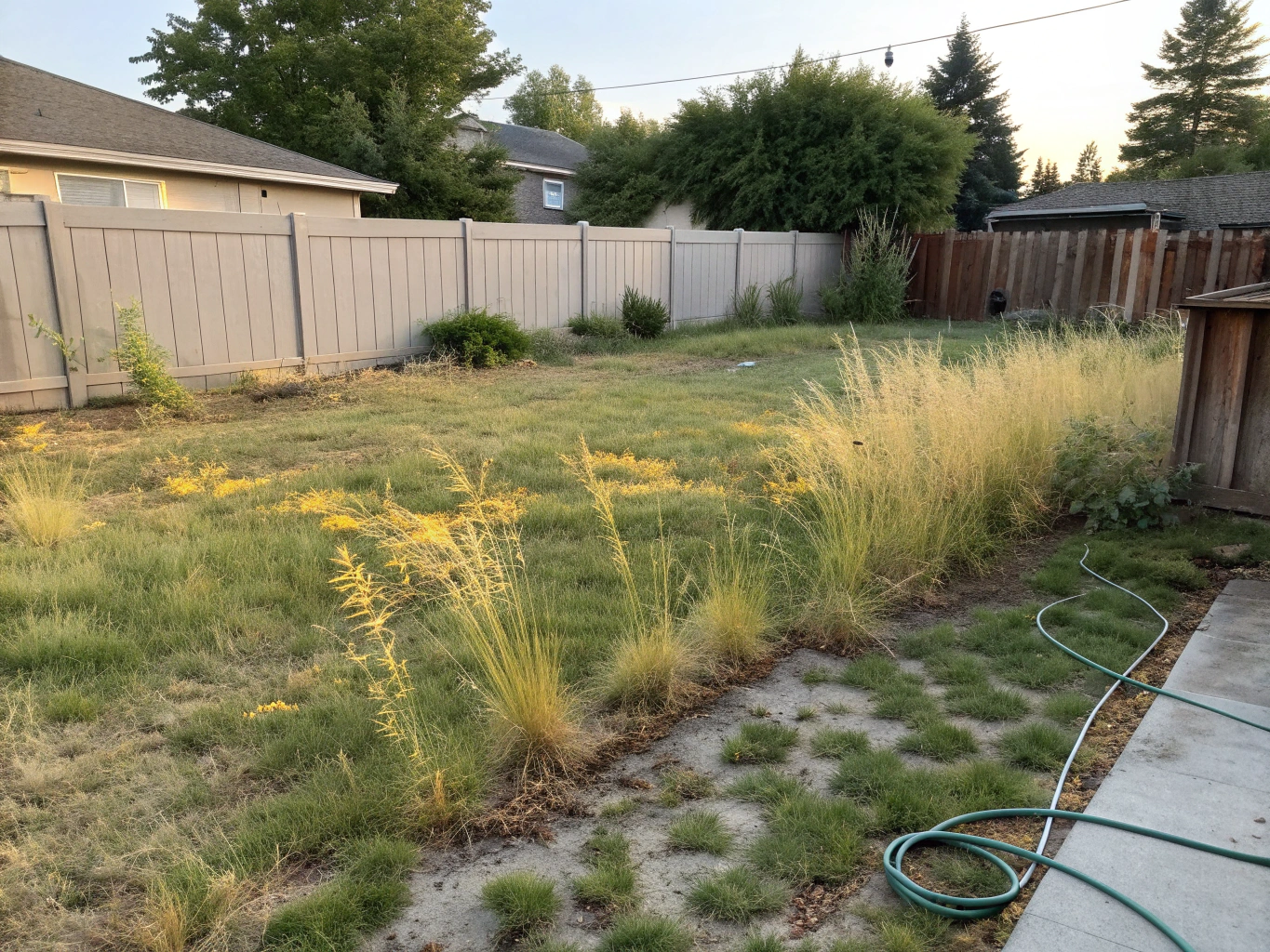 Before transformation of residential lawn and stonework